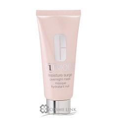 ���C�X�`���[ �T�[�W �I�[�o�[�i�C�g �}�X�N 97g