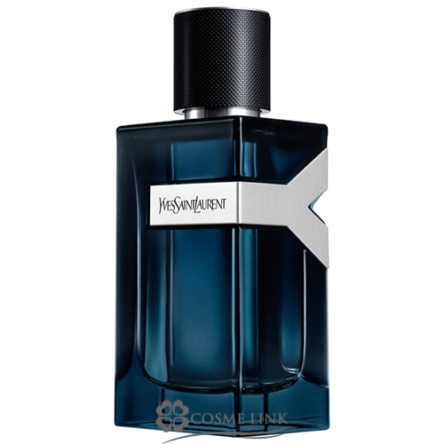 YSLイヴ サンローラン Y MEN EDP 100ml - ユニセックス